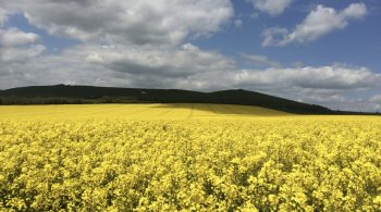 Harmonising Attitudes with Jin Shin Jyutsu