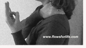 Flows For Life Mediator