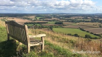 Flows For Life Jin Shin Jyutsu Exercises to Lift Depression