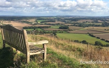 Flows For Life Jin Shin Jyutsu Exercises to Lift Depression