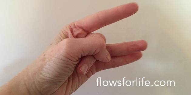 Flows For Life Jin Shin Jyutsu Self Help for Tinnitus