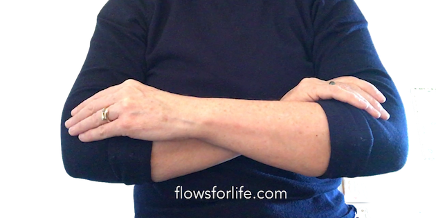 Flows For Life My Jin Shin Jyutsu Story Digestion