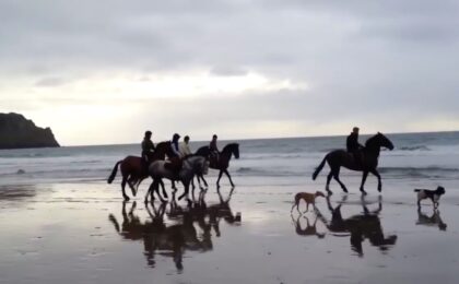 The miracle of horses and Jin Shin Jyutsu