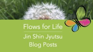 Flows for Life Blog Posts