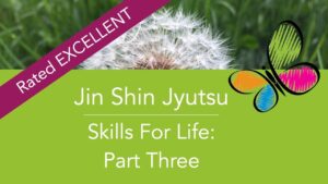 Flows For Life Jin Shin Jyutsu Part 3