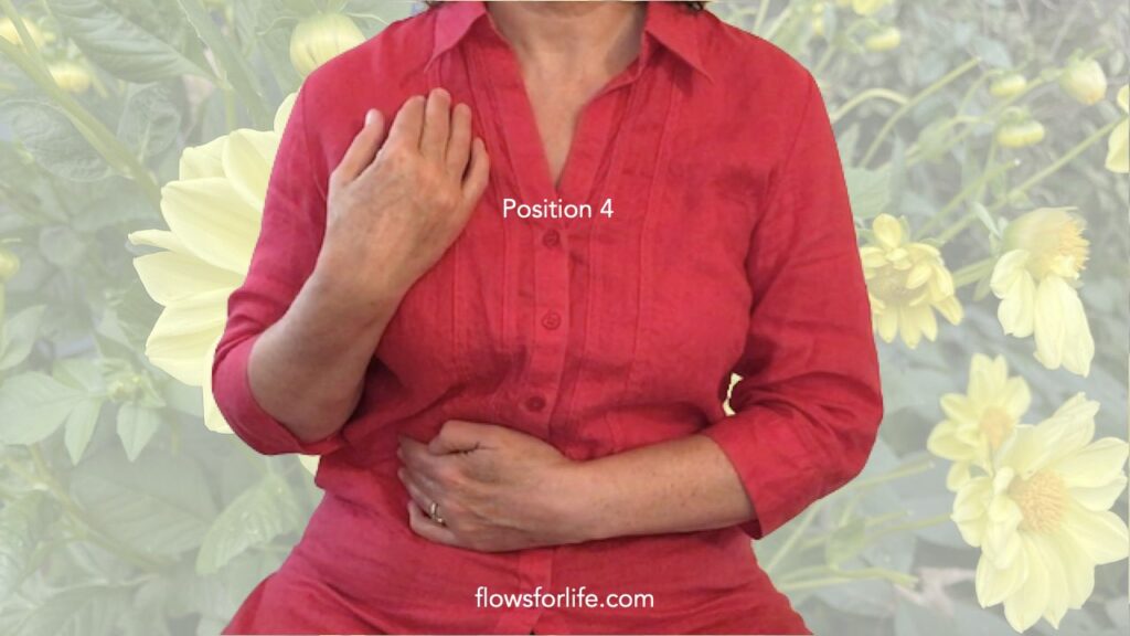 Jin Shin Jyutsu Flow for Vitality and Calm Flows for Life Jin Shin