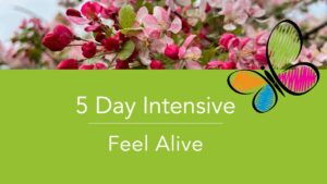5 Day Intensive Feel Alive