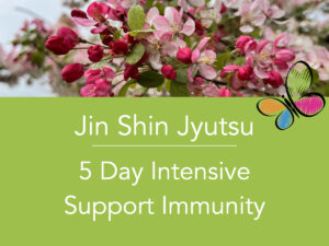Jin Shin Jyutus 5 Day Intensive for Supporting Immunity