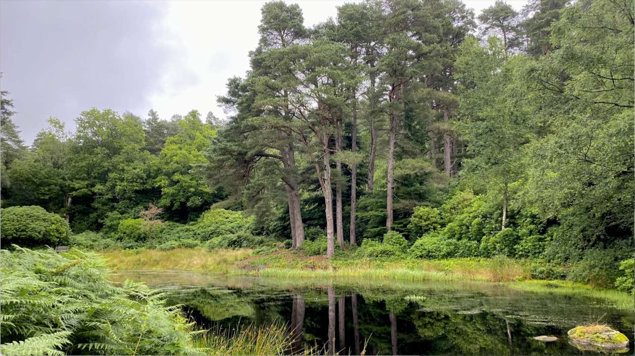 Dynamic Jin Shin Jyutsu Energy Centers in the Palms of the Hands