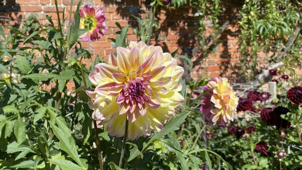 The gift of Jin Shin Jyutsu: Why IT IS Profound