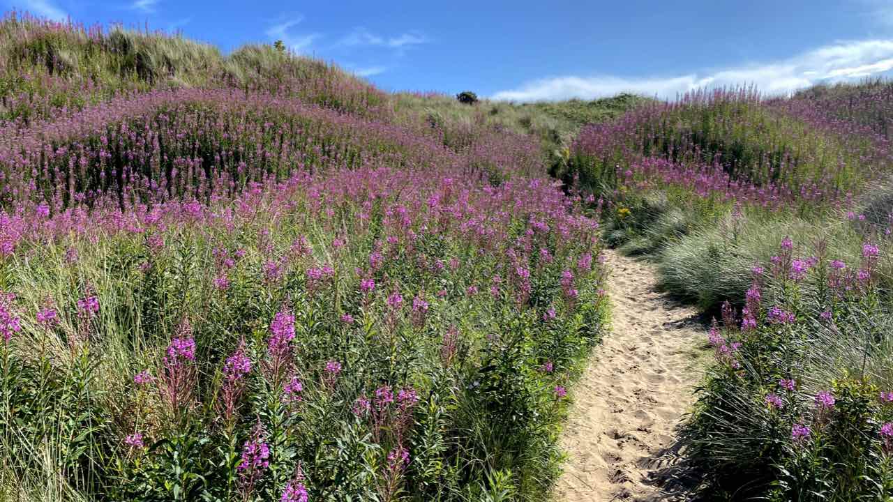 Calm FEAR and Anxiety with Jin Shin Jyutsu 