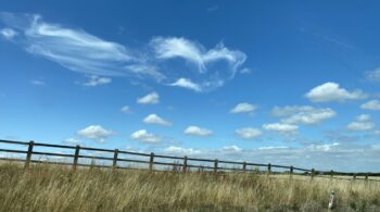 Ease-Your-Mind-Relieve-Stress-with-Jin-Shin-Jyutsu