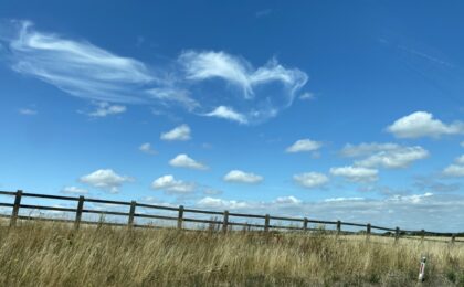 Ease-Your-Mind-Relieve-Stress-with-Jin-Shin-Jyutsu