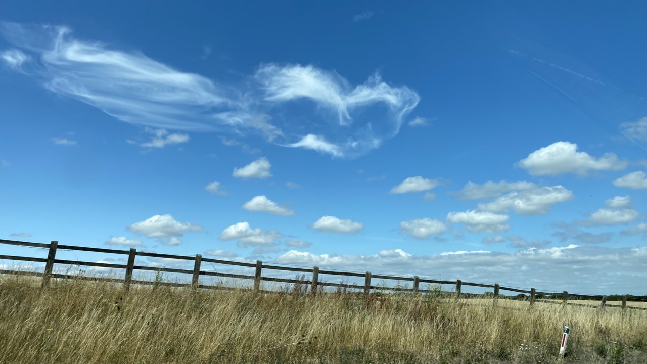 Ease Your Mind: Relieve Stress with Jin Shin Jyutsu