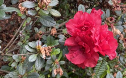 get rid of neck tension with easy jin shin jyutsu hold