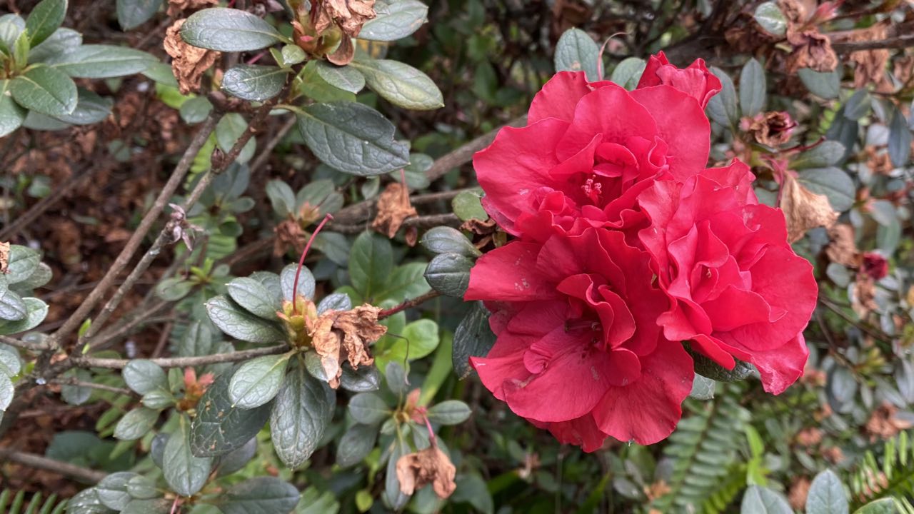 Get Rid of Neck Tension with Easy Jin Shin Jyutsu Hold