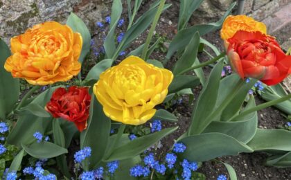 Relieve-Stomach-Pain-and-Cramps-with-Simple-Jin-Shin-Jyutsu