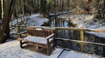 How to ease cough and chest congestion naturally with jin shin jyutsu