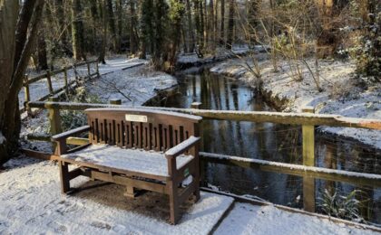 How to ease cough and chest congestion naturally with jin shin jyutsu