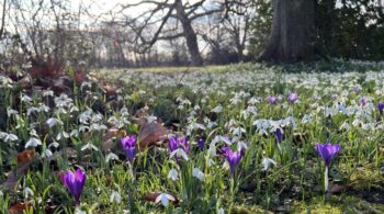 Relieve a painful sprained ankle with Jin Shin Jyutsu