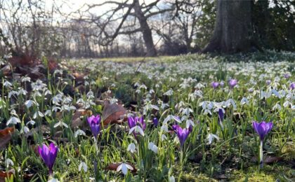 Relieve a painful sprained ankle with Jin Shin Jyutsu