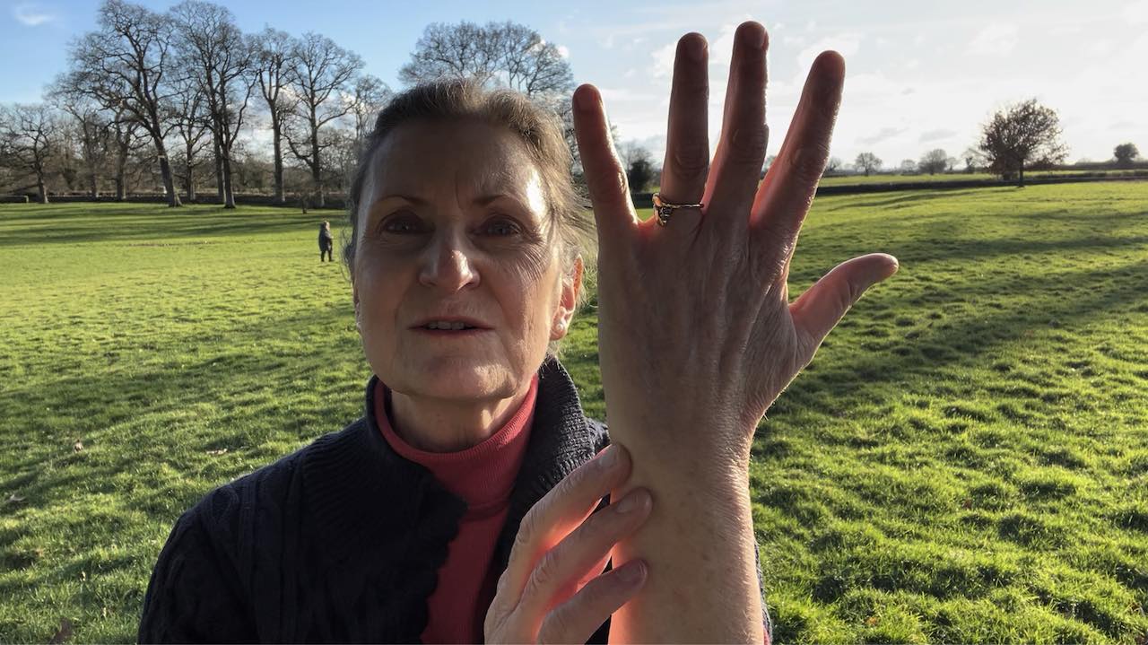 Relieve Sprained Ankle with Jin Shin Jyutsu Show SEL 17